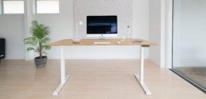 bamboo desk with computer and green plant